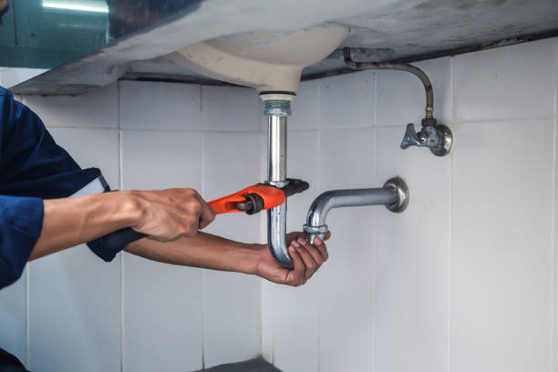 Best Clogged Drain Plumber  in Madison Heights, VA